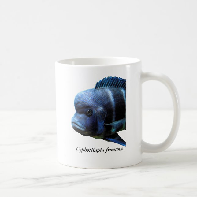 Cyphotilapia frontosa kaffemugg (Höger)