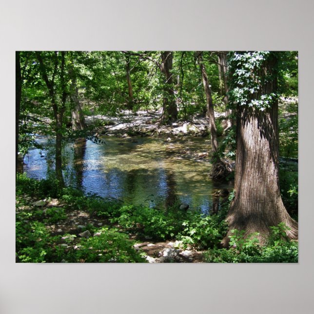 Cypress Bäck Poster (Framsidan)