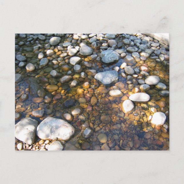 Cypress Backe, Alb. Kanada Vykort (Framsida)