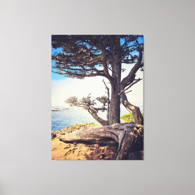 Cypress by Sea Canvastryck (Framsida)