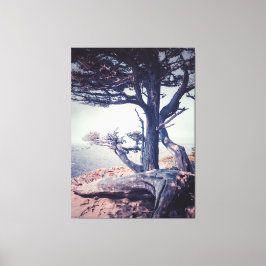Cypress by Sea Canvastryck