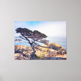 Cypress by Sea Canvastryck