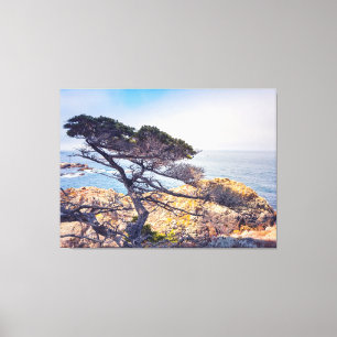 Cypress by Sea Canvastryck
