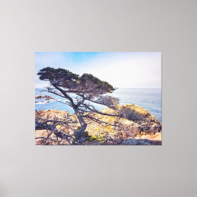 Cypress by Sea Canvastryck (Framsida)