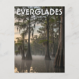Cypress Dome Everglades Nationalpark Florida Vykort