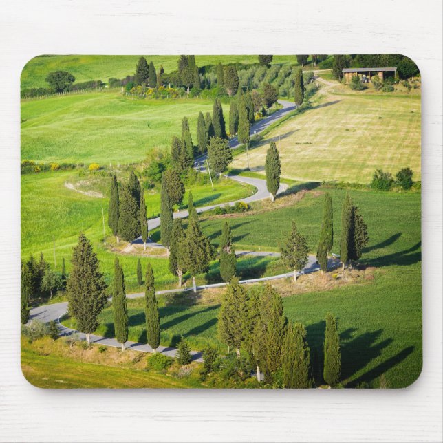 Cypress fodrade den slingriga vägen i Tuscany Musmatta (Framsidan)