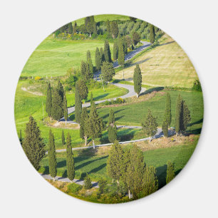 Cypress fodrade vägen i Tuscany rundamagnet Magnet