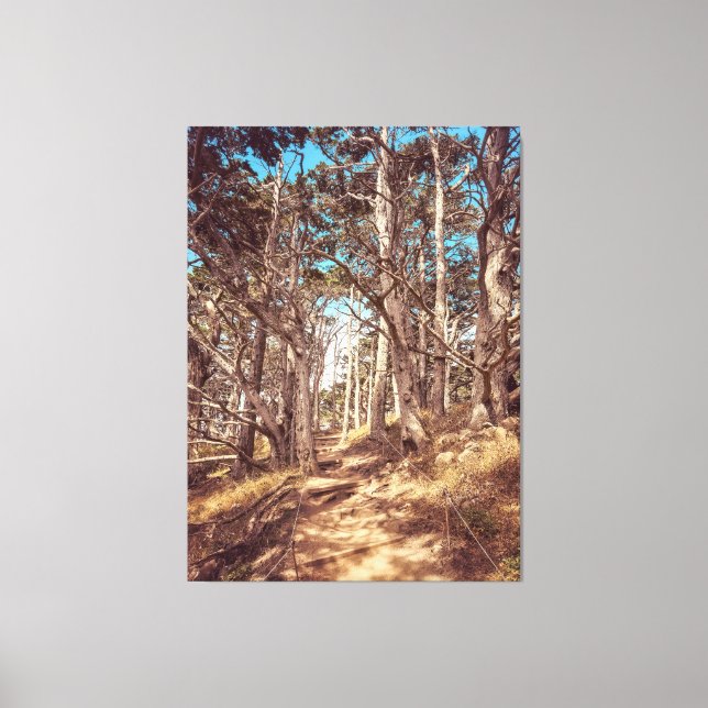 Cypress Forest Canvastryck (Framsida)