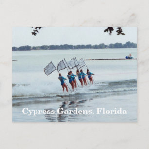 Cypress Gardens Florida Girls WaterSkiing PostCard Vykort