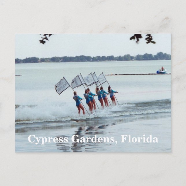 Cypress Gardens Florida Girls WaterSkiing PostCard Vykort (Framsida)