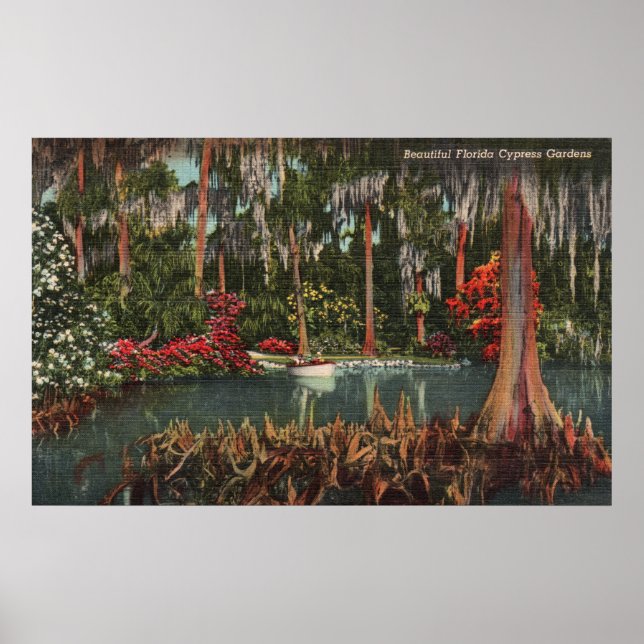 Cypress Gardens Florida Poster (Framsidan)