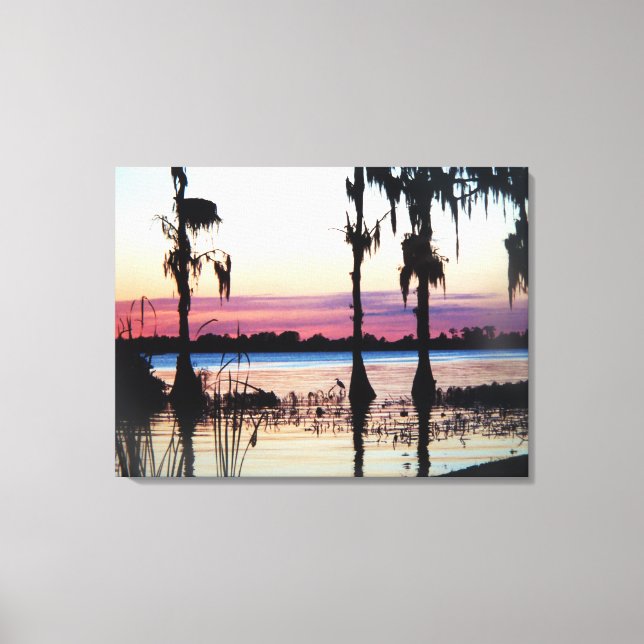 Cypress Gardens Florida Sunset marsh canvas art (Framsida)