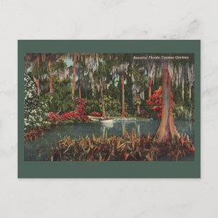 Cypress Gardens Vintage Postcard Vykort