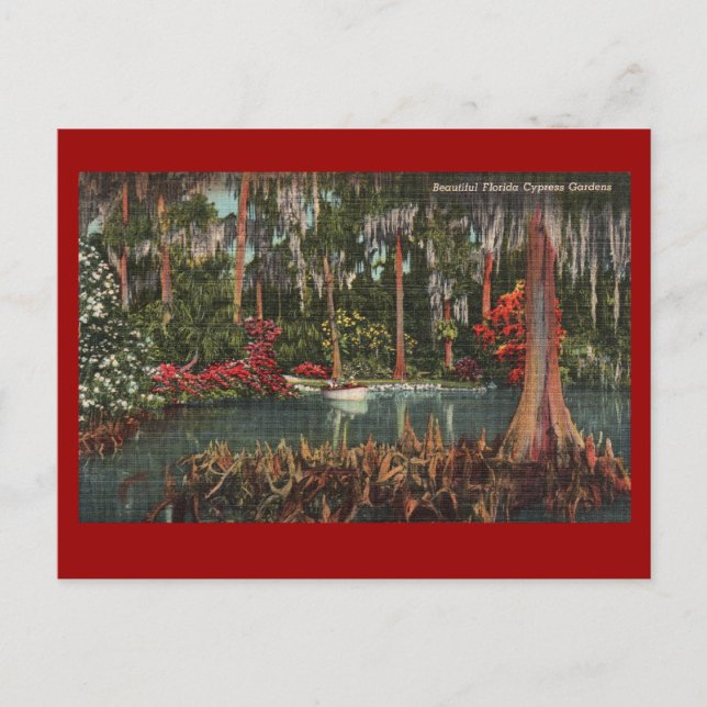 Cypress Gardens Vintage Postcard Vykort (Framsida)