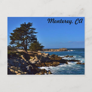 Cypress i Monterey Vykort