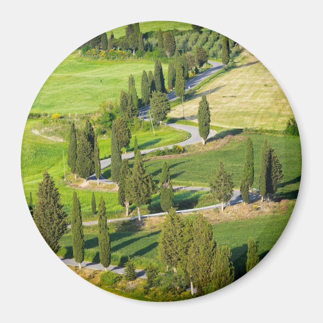 Cypress-inlagd väg i Toscanas runda magnet (Framsidan)