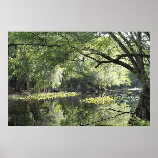 Cypress River A Part Poster -60 x 40 - eller mindr (Framsidan)