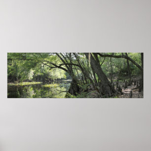 Cypress River Panoramic Poster -60 x 20 - eller mi