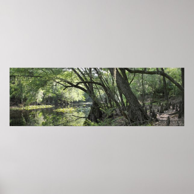 Cypress River Panoramic Poster -60 x 20 - eller mi (Framsidan)