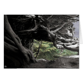 Cypress Skeleton - kort