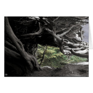 Cypress Skeleton - kort