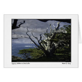 Cypress Skeleton on on Point Lobos Hälsningskort