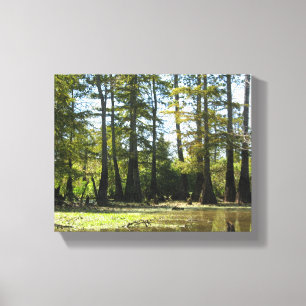 Cypress Swamp liggande Canvastryck