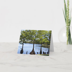 Cypress Träd fotomappat anteckningskort