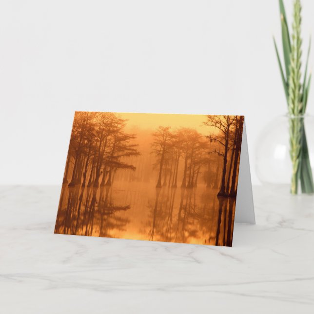 Cypress Träd George Smith State Park Kort (Framsida)