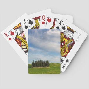Cypress träd i däck för Tuscany pokerkort Spel Kort