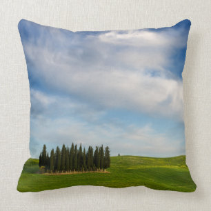 Cypress träd i den Tuscany dekorativ kudde