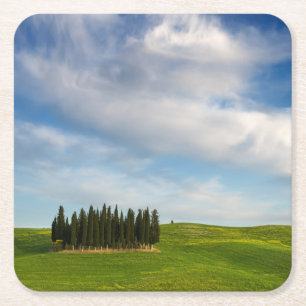 Cypress träd i den Tuscany kustfartyget Underlägg Papper Kvadrat
