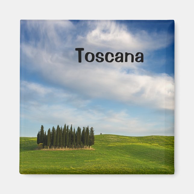 Cypress träd i Toscana textmagnet Magnet (Framsidan)