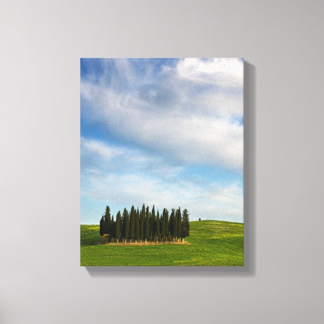 Cypress träd i Toskana lodrät canvas (Framsida)