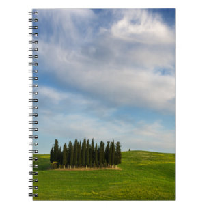 Cypress-träd i Tuscany anteckningsbok Med Spiral