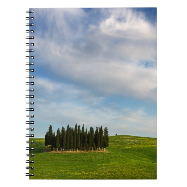 Cypress-träd i Tuscany anteckningsbok Med Spiral (Framsidan)