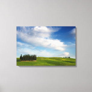 Cypress träd i Tuscany kanfas Canvastryck