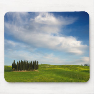Cypress träd i Tuscany mousepad Musmatta