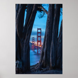 Cypress-träd med utsikt över Golden Gate-bron Poster