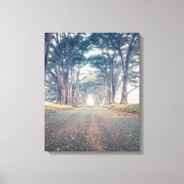 Cypress Tunnel Canvastryck (Framsida)