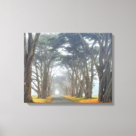 Cypress Tunnel Canvastryck