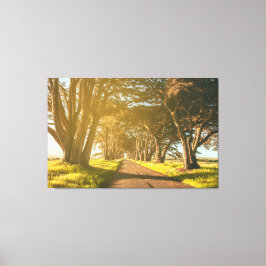 Cypress Tunnel Canvastryck