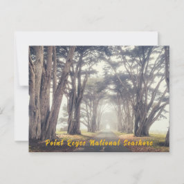 Cypress-tunneln i Fog Vykort