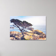 Cypress vid havet