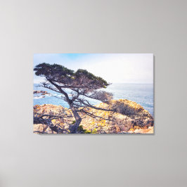 Cypress vid havet canvastryck
