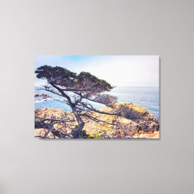 Cypress vid havet canvastryck (Framsida)
