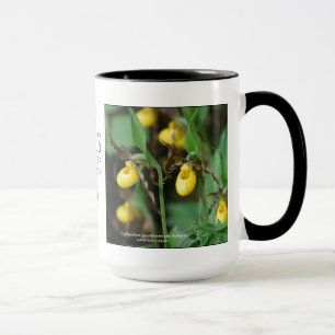Cypripediumparviflorum, gul dam-häftklammermatare mugg