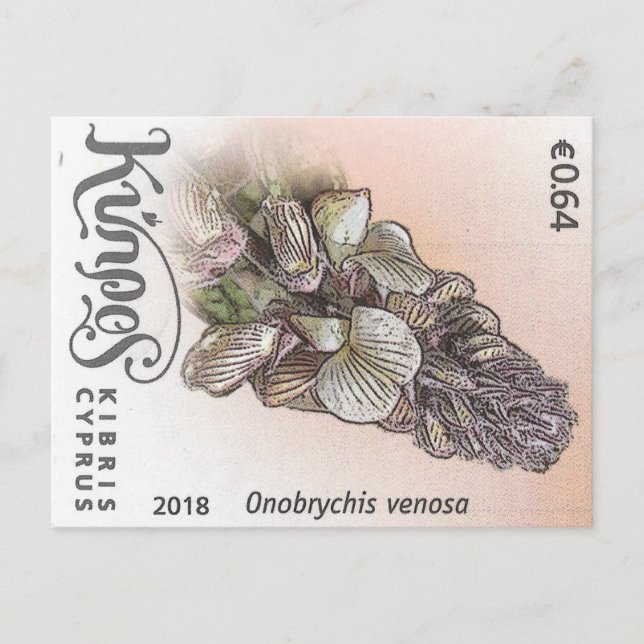 Cyprus nature stamp flower spring flowers purple vykort (Framsida)