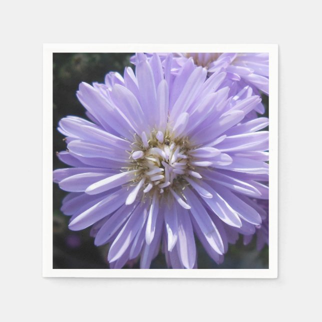 Cyrene Pappersservett (Framsidan)