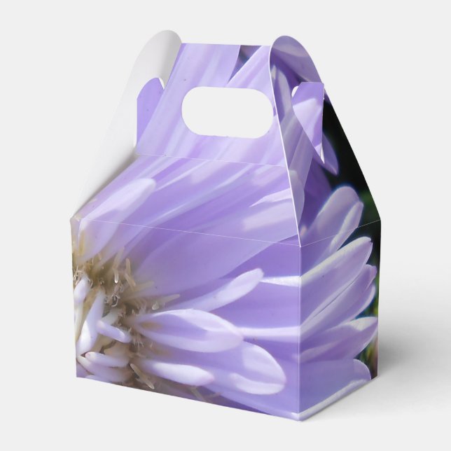 Cyrene Presentaskar (Framsidan Sidan)